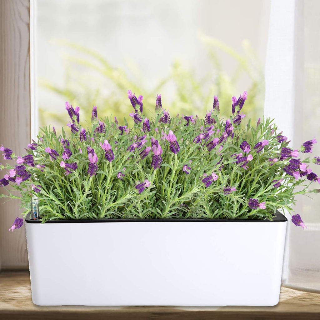 Rectangle Self‑Watering Window Planter Boxes