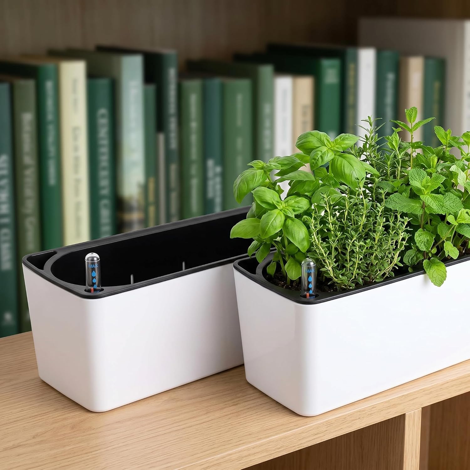 Rectangle Self‑Watering Window Planter Boxes