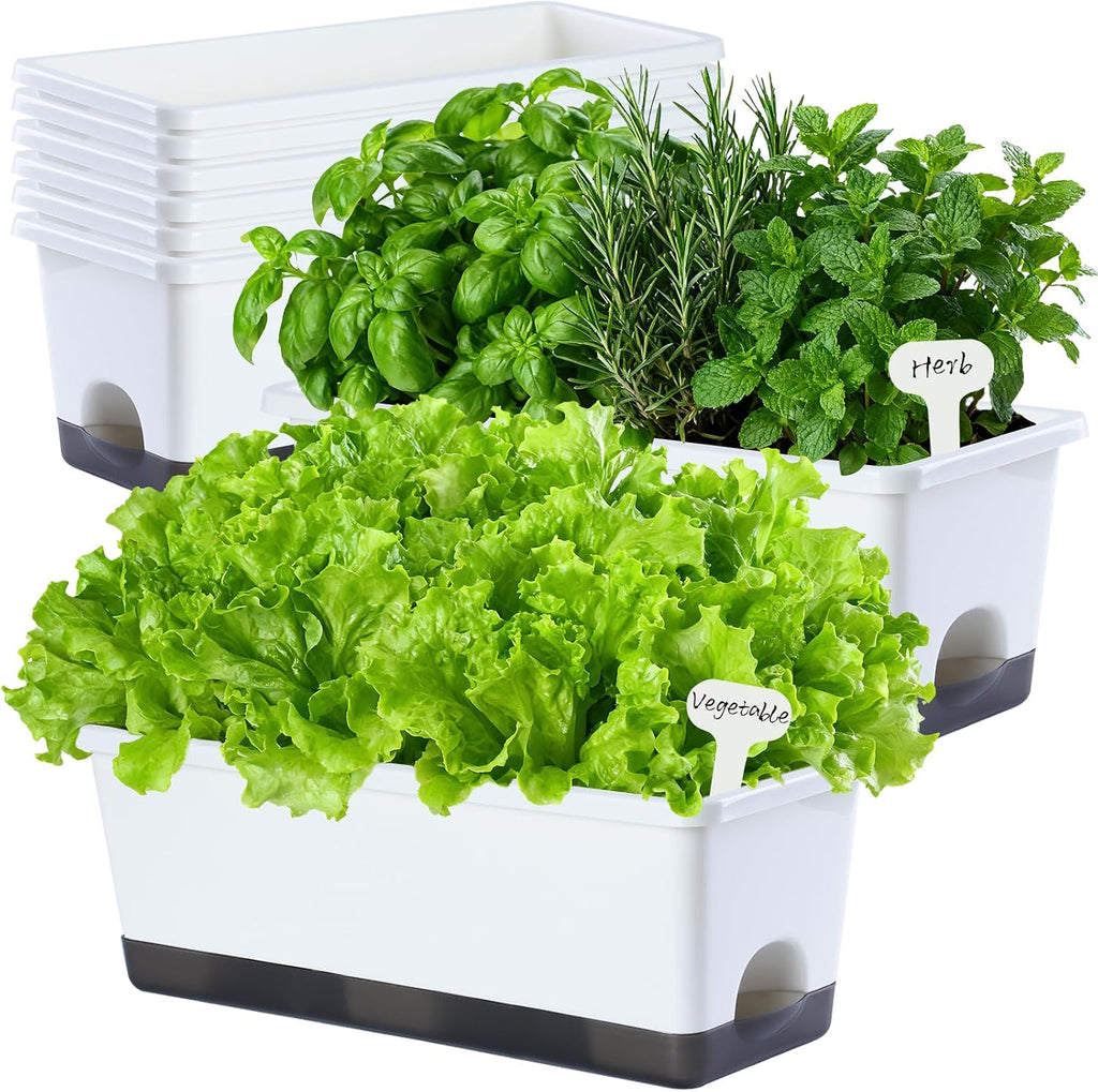 White Rectangle Window Flower Planter Boxes
