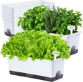 White Rectangle Window Flower Planter Boxes